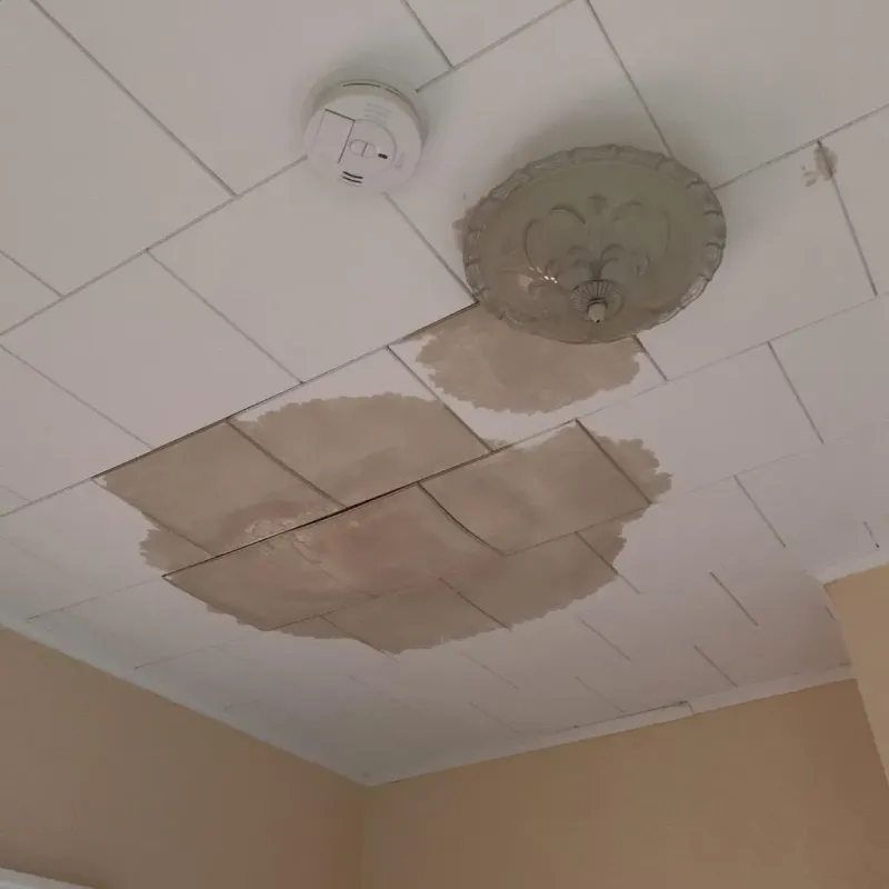 Ceiling Water Damage Repair in Havana, IL