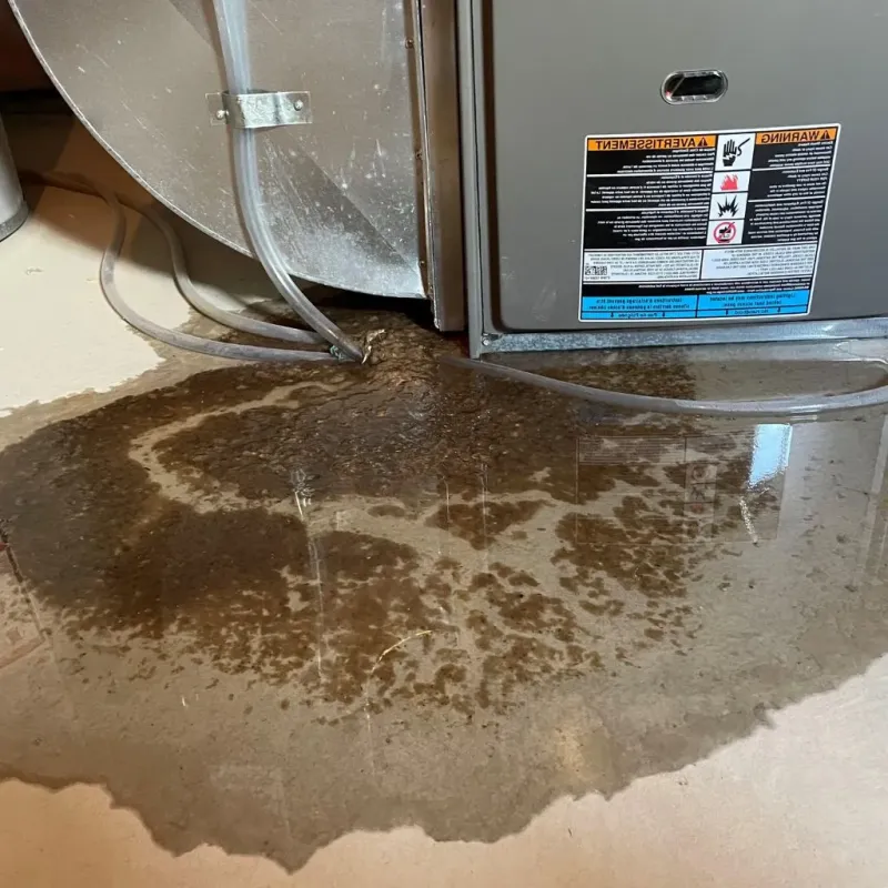 Pipe Burst and Leak Restoration in Havana, IL