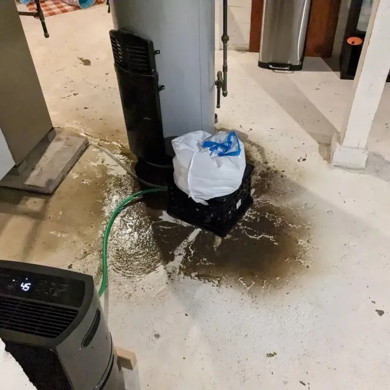 Sewage Backup Cleanup Service in Havana, IL